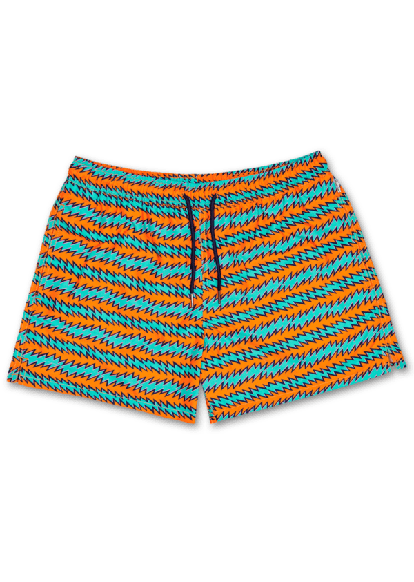 Rock n Roll Stripe Swim Shorts