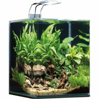 Dennerle NanoCube Aquarium, 20 Liter