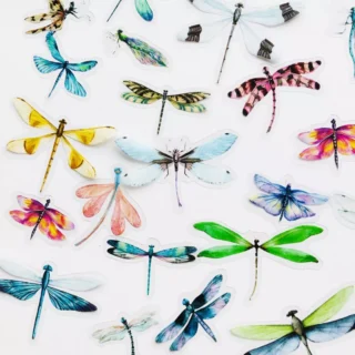 40 pcs /Pack Insects Dragonfly Butterfly PVC Specimen Decorative Stickers DIY Book Album Decoration