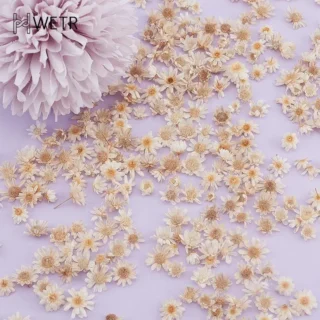 60/200pcs Real Dried Flowers For Diy Art Craft Epoxy Resin Candle Making Jewellery Home Party Decorative Dry Press Flowers