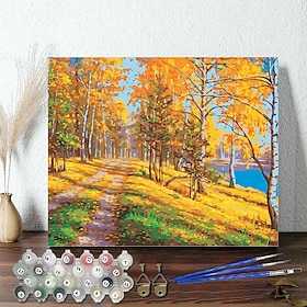 1-teiliges, einfaches DIY-Ölgemälde-Set „Herbstwaldweg" 40 x 50 cm, rahmenlos, mit numerischen Acryl-, Aquarell- und Ölfarben, entspannendes und unterhaltsames