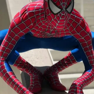 3D Printed Halloween Classic Raimi Spiderman Cosplay Costume Kids Adult Zentai Suit Spiderhero